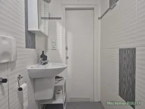 Pronájem bytu 1+kk, Praha - Vinohrady, Francouzská, 60 m2