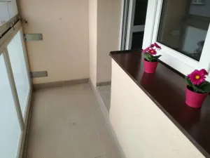 Pronájem bytu 2+kk, Ostrava - Bělský Les, Jiřího Herolda, 49 m2