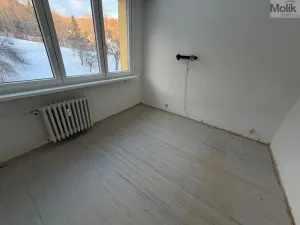 Prodej bytu 4+1, Litvínov - Janov, Hamerská, 79 m2