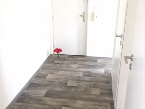 Pronájem bytu 2+1, Ostrava - Hrabůvka, Josefa Kotase, 50 m2