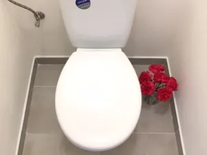 Pronájem bytu 2+1, Ostrava - Hrabůvka, Josefa Kotase, 50 m2