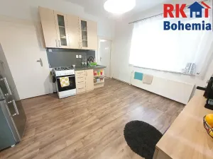 Pronájem rodinného domu, Mladá Boleslav, Gorkého, 150 m2