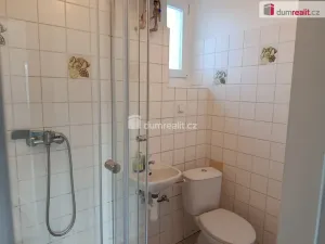Pronájem bytu 1+kk, Praha - Michle, Týmlova, 23 m2