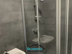 Pronájem bytu 1+1, Kroměříž - Kotojedy, 39 m2