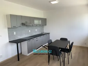Pronájem bytu 1+1, Kroměříž - Kotojedy, 39 m2