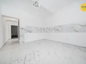 Prodej vícegeneračního domu, Český Těšín, Ropická, 387 m2