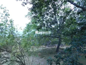 Prodej pozemku pro bydlení, Dubá - Zátyní, 2213 m2