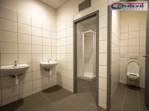 Pronájem výrobních prostor, Ostrava - Vítkovice, Halasova, 5195 m2