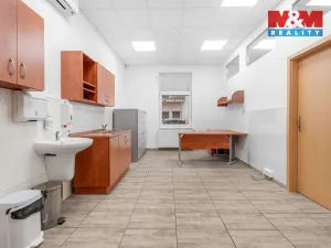 Pronájem obchodního prostoru, Ústí nad Labem - Severní Terasa, Šrámkova, 44 m2