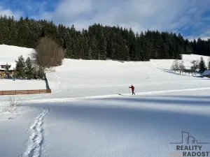 Prodej pozemku pro bydlení, Velké Karlovice, 45173 m2