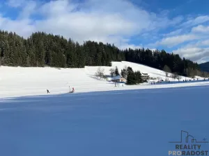 Prodej pozemku pro bydlení, Velké Karlovice, 45173 m2