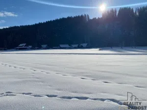 Prodej pozemku pro bydlení, Velké Karlovice, 45173 m2