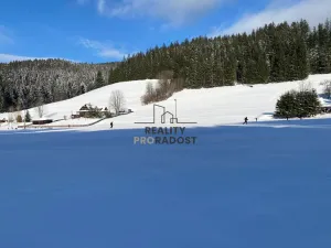 Prodej pozemku pro bydlení, Velké Karlovice, 45173 m2