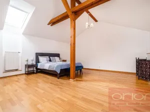 Pronájem bytu 4+kk, Praha - Vinohrady, Havlíčkovy sady, 170 m2