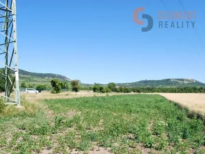 Prodej pole, Perná, 8959 m2