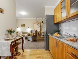 Prodej bytu 2+kk, České Budějovice - České Budějovice 3, U Trojice, 54 m2