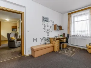 Prodej bytu 2+kk, České Budějovice - České Budějovice 3, U Trojice, 54 m2