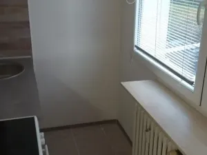 Pronájem bytu 1+kk, Most, K. H. Borovského, 20 m2