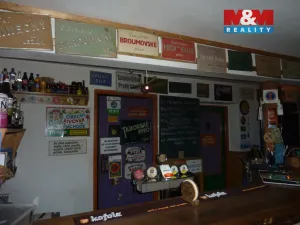 Prodej rodinného domu, Česká Čermná, 450 m2