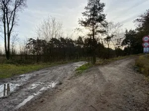 Dražba lesa, Kostelní Lhota, 9438 m2