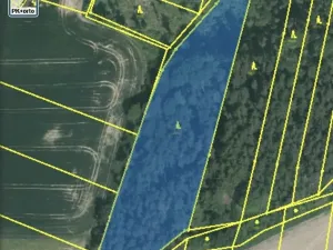 Dražba lesa, Blížejov, 7793 m2