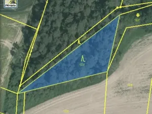Dražba lesa, Blížejov, 1122 m2