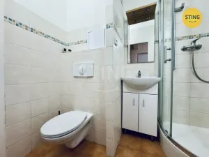 Prodej bytu 1+kk, Pardubice, Grusova, 39 m2