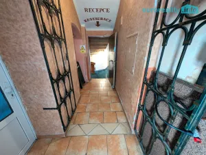 Prodej ubytování, Plzeň, Lindauerova, 800 m2