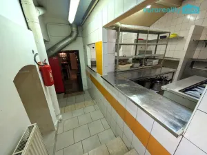 Prodej ubytování, Plzeň, Lindauerova, 800 m2