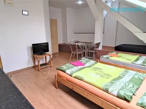 Prodej ubytování, Plzeň, Lindauerova, 700 m2