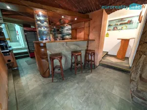 Prodej ubytování, Plzeň, Lindauerova, 700 m2