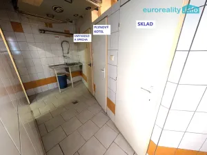 Prodej ubytování, Plzeň, Lindauerova, 700 m2