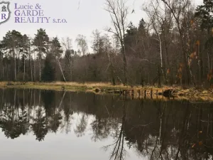 Prodej rybníku, Křivsoudov, 26509 m2
