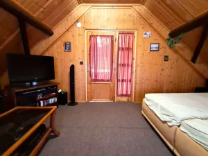 Prodej rodinného domu, Vysoké Veselí, 290 m2