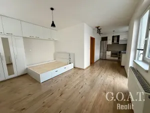 Pronájem bytu 1+kk, Plzeň, Vysoká, 38 m2