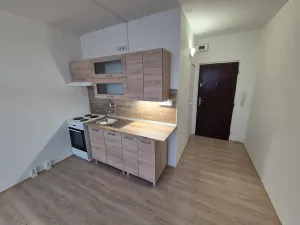 Prodej bytu 1+1, Chomutov, Zahradní, 35 m2