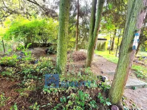 Prodej rodinného domu, Úpice, Palackého, 150 m2