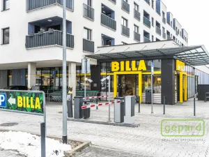 Pronájem bytu 1+kk, Praha, Ke kříži, 26 m2