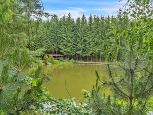 Prodej chalupy, Sudslava, 80 m2