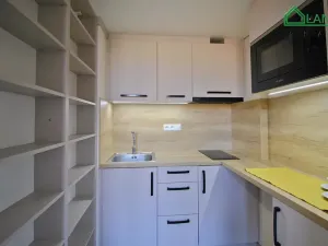 Pronájem bytu 1+kk, Brno, Koliště, 27 m2