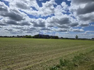 Prodej pozemku pro bydlení, Osice, 2000 m2