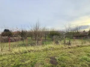 Prodej rodinného domu, Kralovice, Žatecká, 140 m2