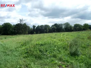 Prodej pozemku pro bydlení, Polom, 1399 m2