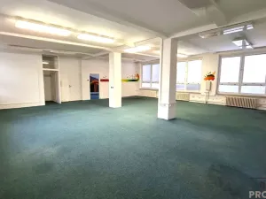 Pronájem obchodního prostoru, Brno, Lidická, 300 m2
