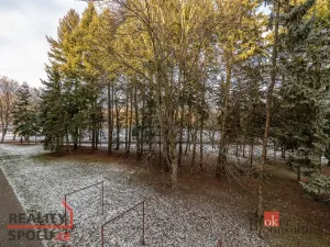 Prodej bytu 2+1, Praha - Břevnov, Boučkova, 52 m2