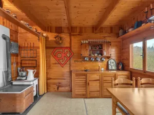 Prodej chaty, Ústí nad Orlicí, 32 m2