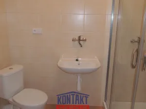 Pronájem bytu 2+kk, České Budějovice - České Budějovice 6, 48 m2