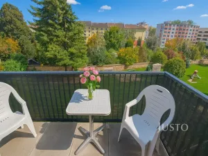 Pronájem bytu 1+kk, Písek, Pražská, 32 m2