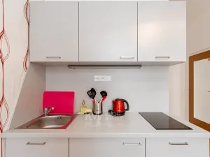 Pronájem bytu 1+kk, Praha - Nusle, Na Jezerce, 18 m2