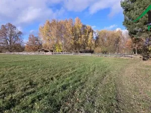 Prodej pozemku, Bor, 1427 m2